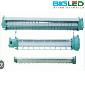 Đèn chống nổ Tuýp đơn BIGLED BL-CN1-60