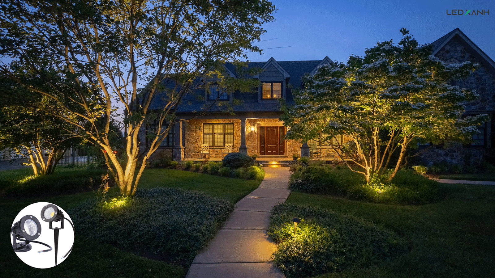 Đèn chiếu gốc cây