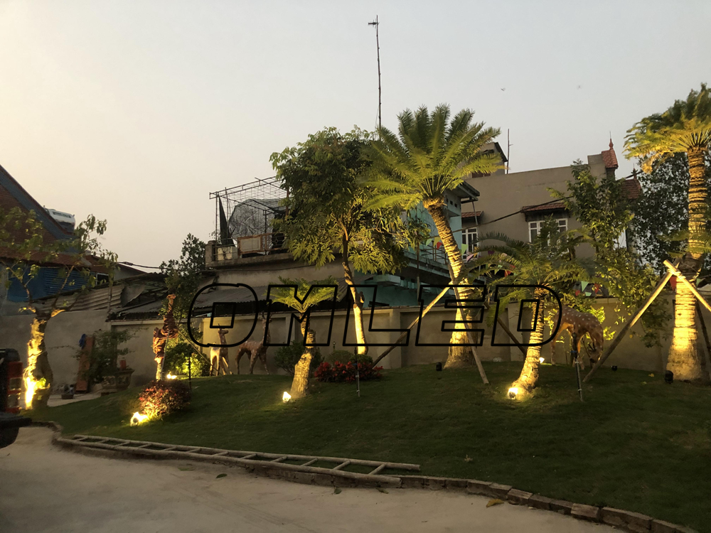 Đèn led chiếu cây