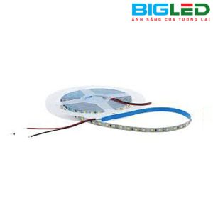 Đèn led dây 12V BL-LD12V