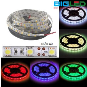 Đèn led dây 12V BL-LD12VĐèn led dây 12V BL-LD12V