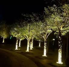 ứng dụng đèn ôm chiếu gốc cây